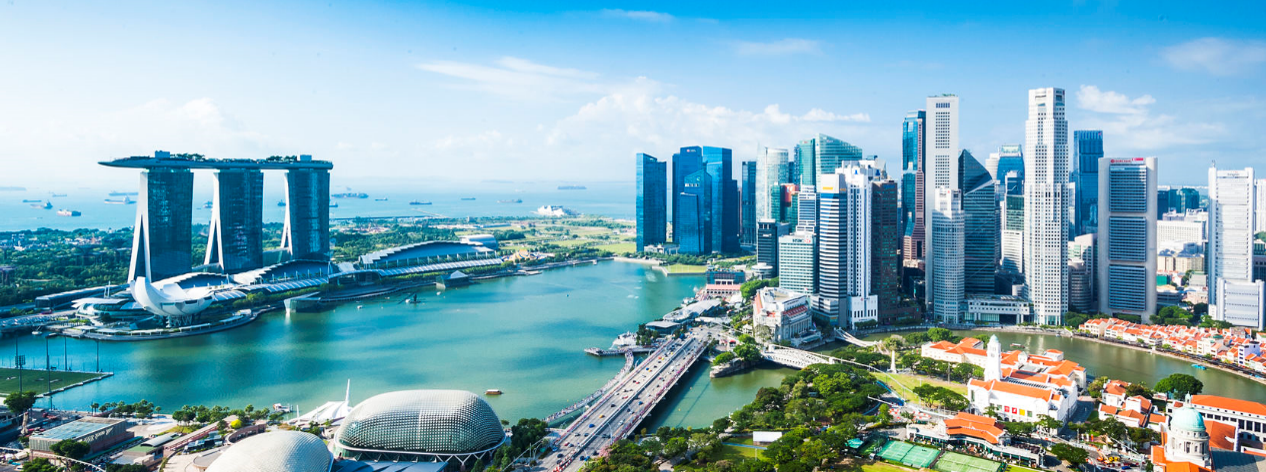 image of downtown Singapore landscape